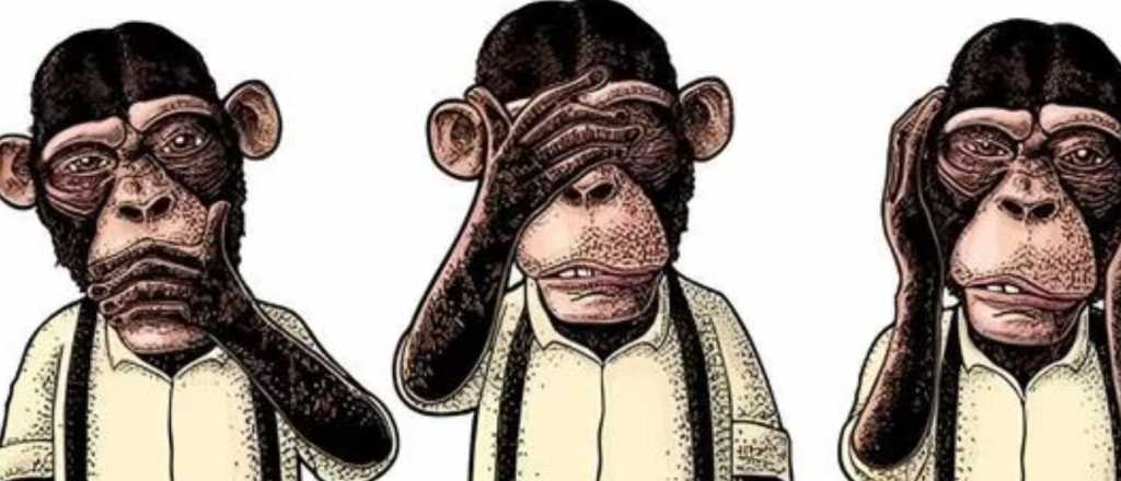 ¿Qué mono elegirías y por qué?: la prueba que puede revelar tu inteligencia