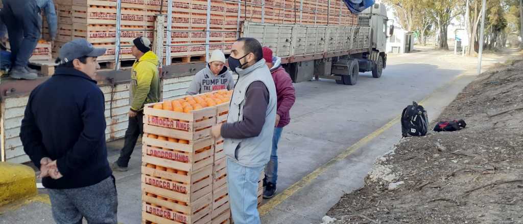 Elevan al Senasa una propuesta para destrabar el ingreso de c&iacute;tricos