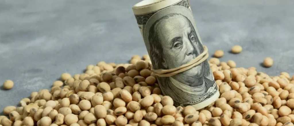 El agro asegura que quiere invertir, pero el cr&eacute;dito sigue sin aparecer