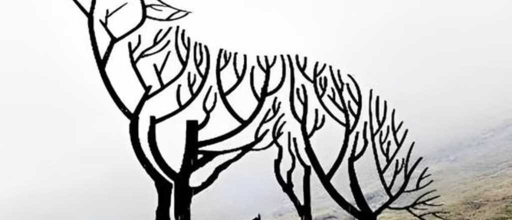 Prueba psicol&oacute;gica: descubr&iacute; si sos un l&iacute;der nato o un seguidor