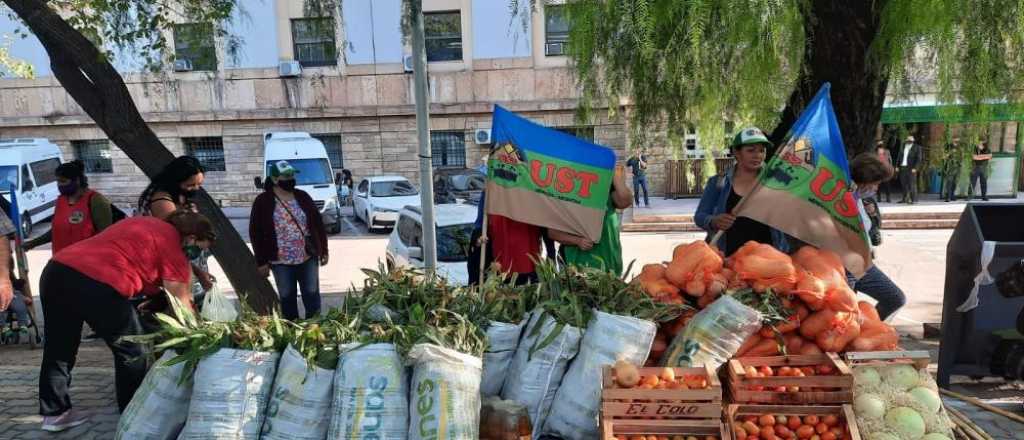 Productores rurales de Mendoza muestran "la contracara de la vendimia"