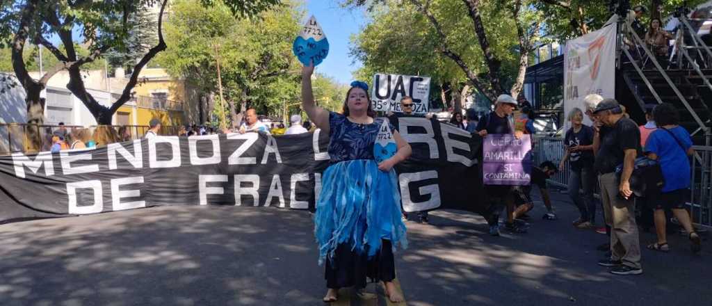 Fotos: as&iacute; fue la contramarcha, el reverso del Carrusel