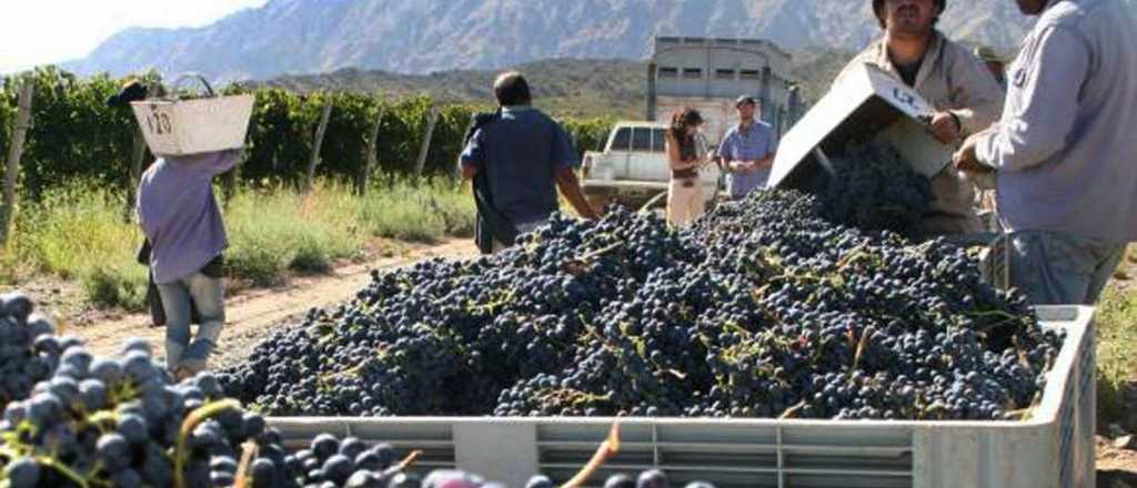 El gobierno aprobó U$S40 millones del BID para pequeños productores vitivinícolas
