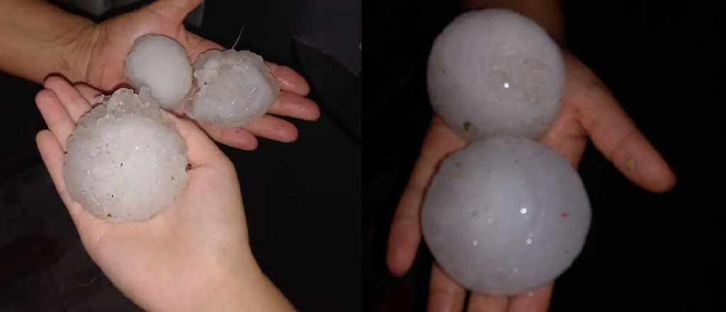 &Aacute;rboles ca&iacute;dos y voladuras de techos: el granizo azot&oacute; el Este