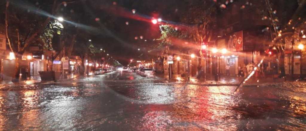 Decenas de casas inundadas y árboles caídos por la tormenta en Mendoza