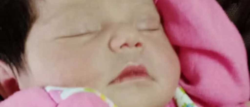 Robaron una beba de un hospital de La Matanza y la encontraron horas después