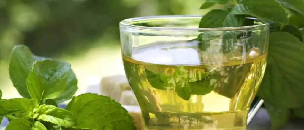  Las 4 bebidas naturales que te ayudar&aacute;n a bajar de peso