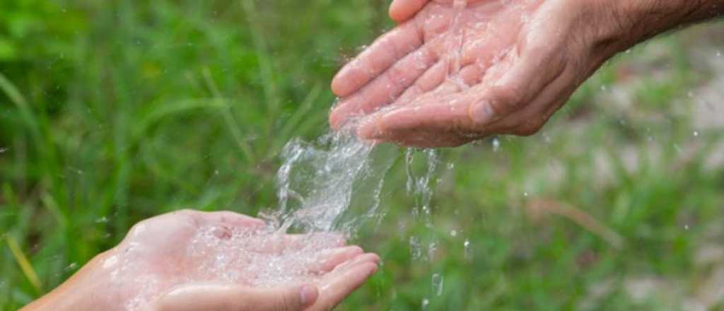 Cómo cuidar y ahorrar agua: 10 consejos