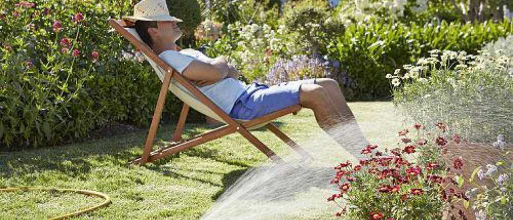 Cómo ahorrar agua en tu jardín para regar