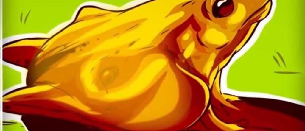 &iquest;Te gustan las ilusiones &oacute;pticas? Mira lo que revelan de tu personalidad