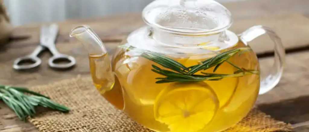 Estos son los beneficios de tomar t&eacute; de romero