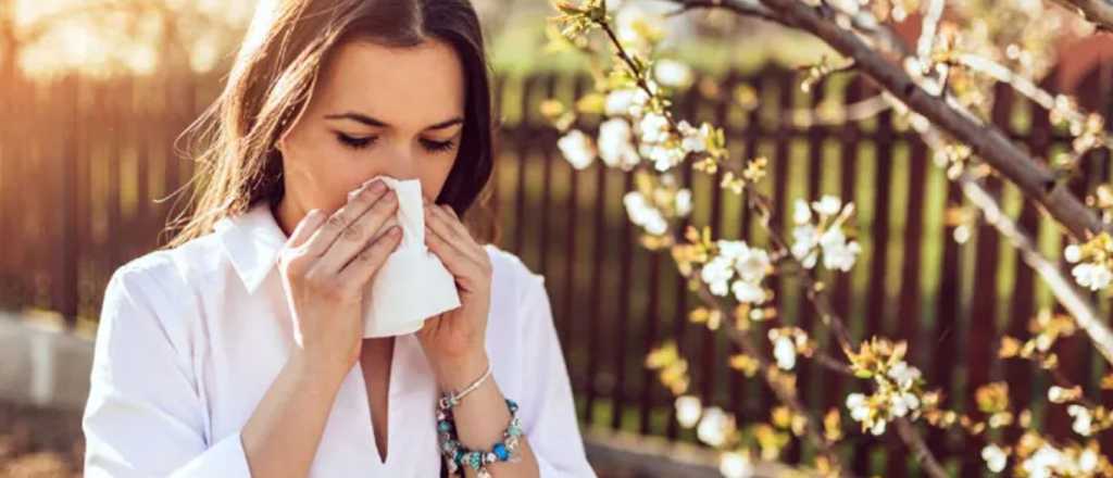 Remedios naturales y caseros para aliviar los síntomas de alergia 