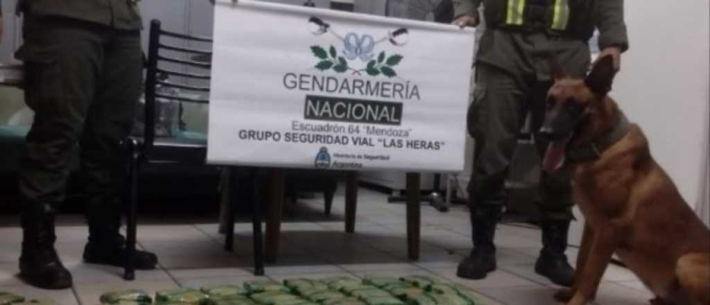 Gendarmería incautó 27 kilos de hojas de coca en Las Heras