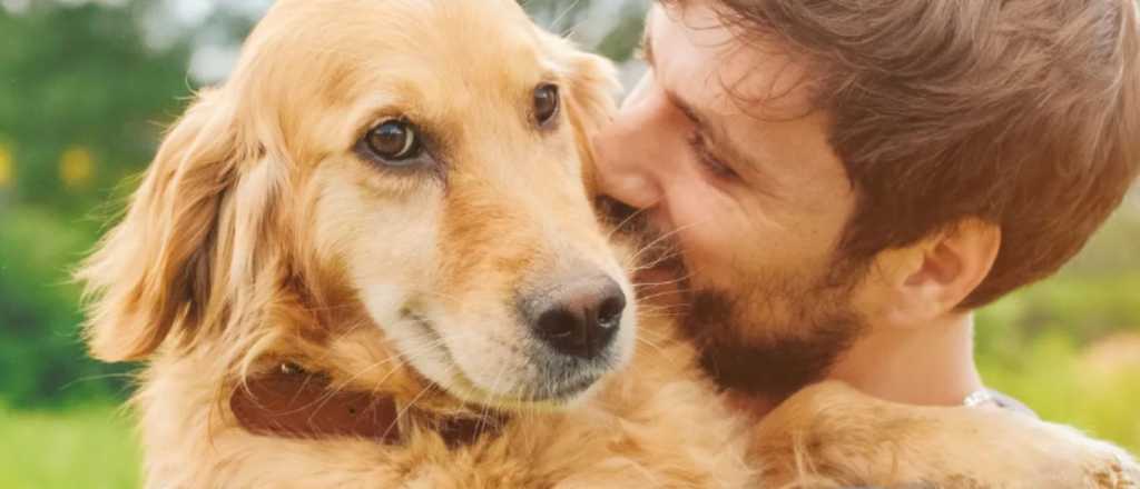 Un estudio comprobó que los perros lloran cuando ven a sus dueños 