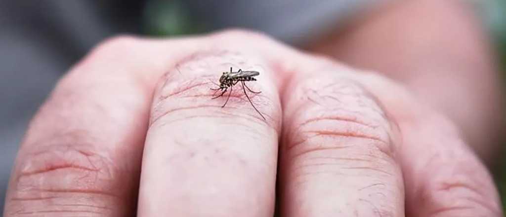 Cinco muertes más por dengue en la Argentina