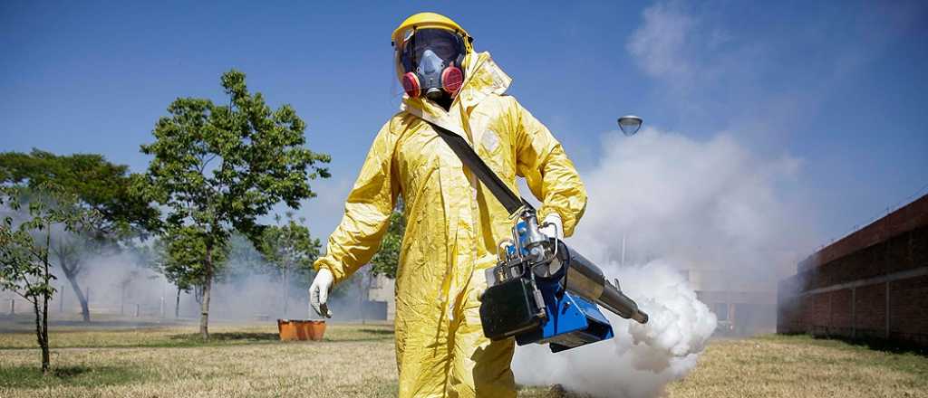 Además de dengue, hay un caso de chikungunya en Mendoza 