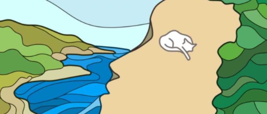 &iquest;Qu&eacute; es lo primero que ves en la imagen?