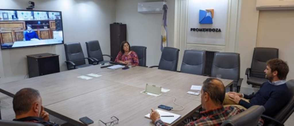 Mendoza laz&oacute; una plataforma para vender productos por internet