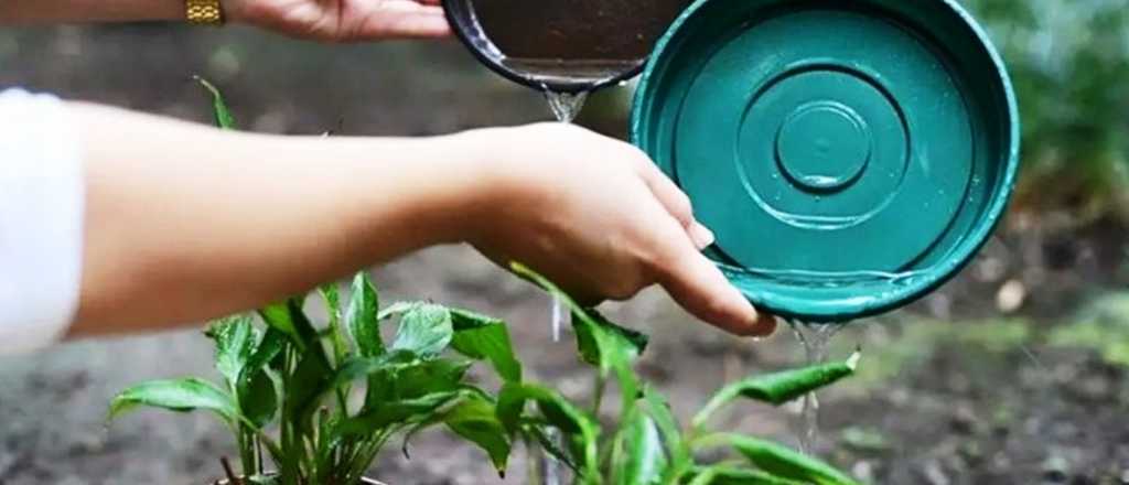 Las recomendaciones de la Muni de Tunuy&aacute;n para combatir el dengue