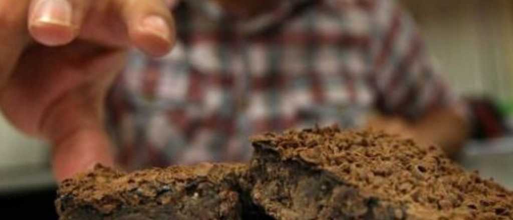 Una alumna llev&oacute; al colegio brownie loco y medio curso termin&oacute; "volado"