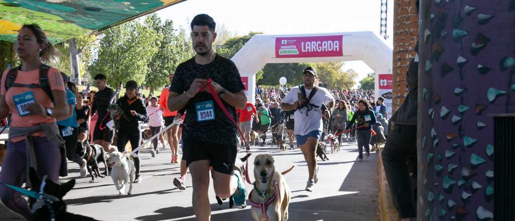 Abren inscripción para la Maratón Animal en Ciudad: este es el recorrido