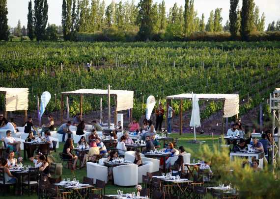 Datos sobre el departamento de Maipú Mendoza Post