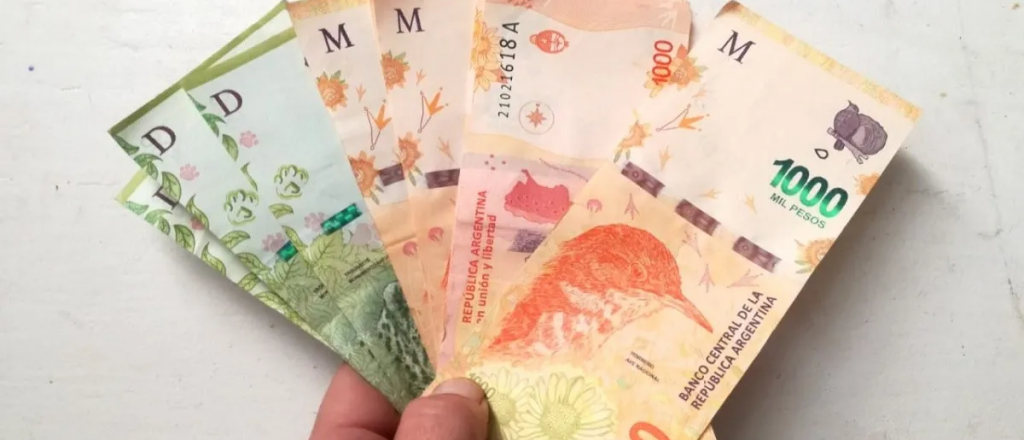 C&oacute;mo sacar un cr&eacute;dito en ANSES de hasta $240 mil