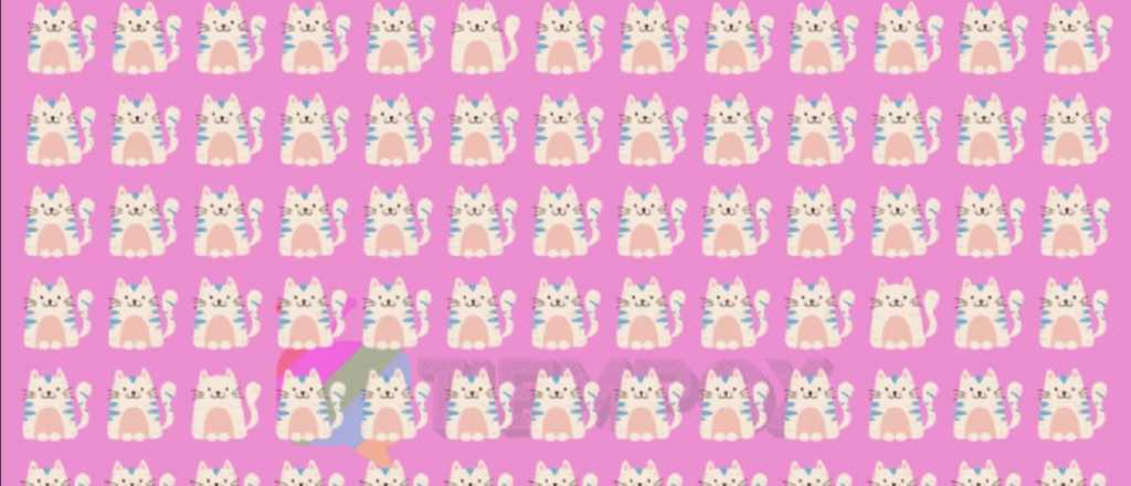Prueba mental: ¿te animás a encontrar a los tres gatos diferentes?