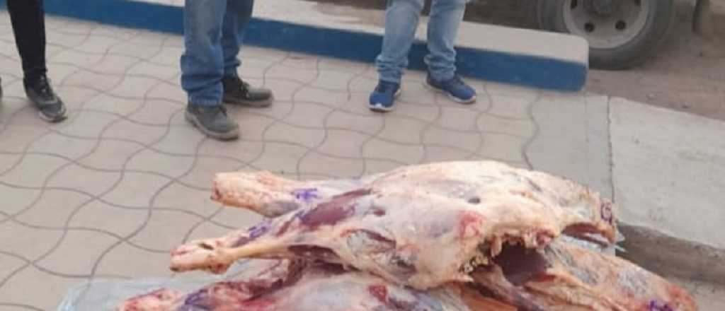 Un hombre llevaba 4.500 kilos de carne vacuna de forma ilegal en Maipú