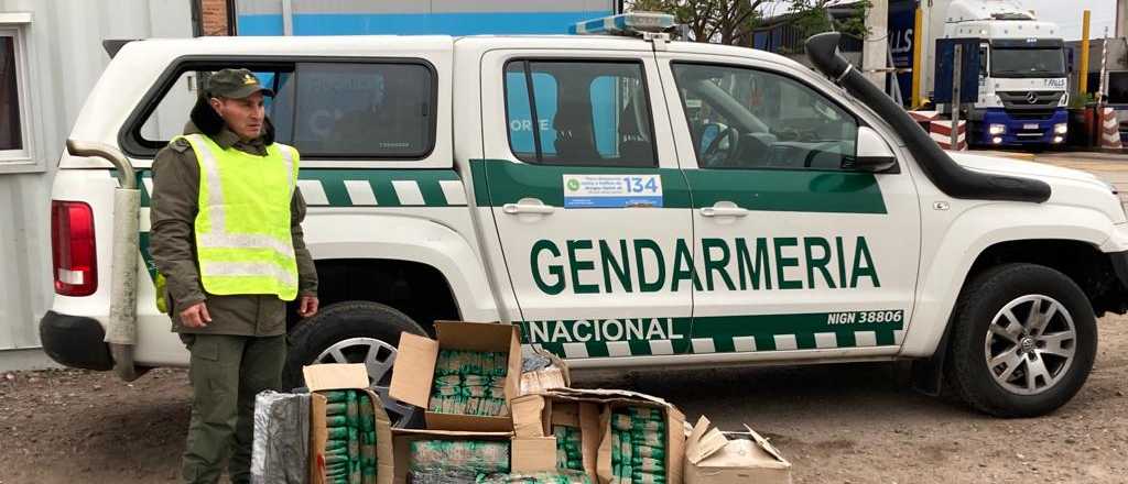 Secuestraron más de 100 kilos de hojas de coca en Mendoza