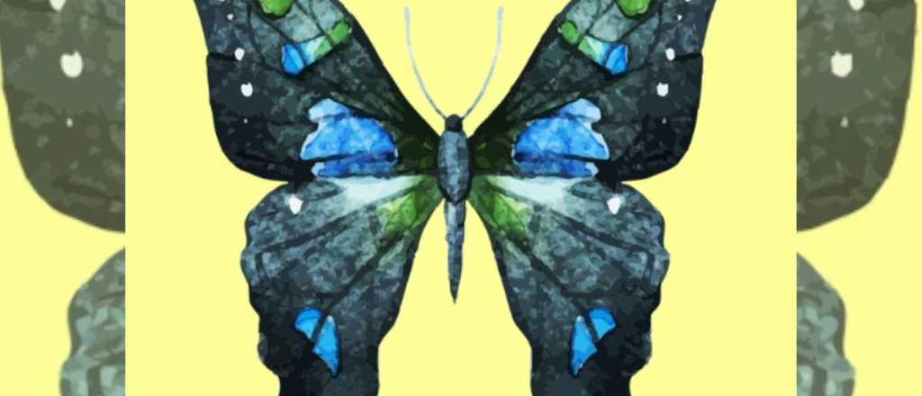Test de personalidad: eleg&iacute; una mariposa y revela lo que dice de vos