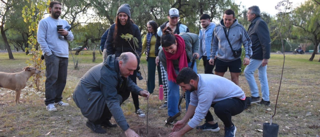 Campa&ntilde;a eco: Carmona propone plantar 1 mill&oacute;n de &aacute;rboles en Mendoza 