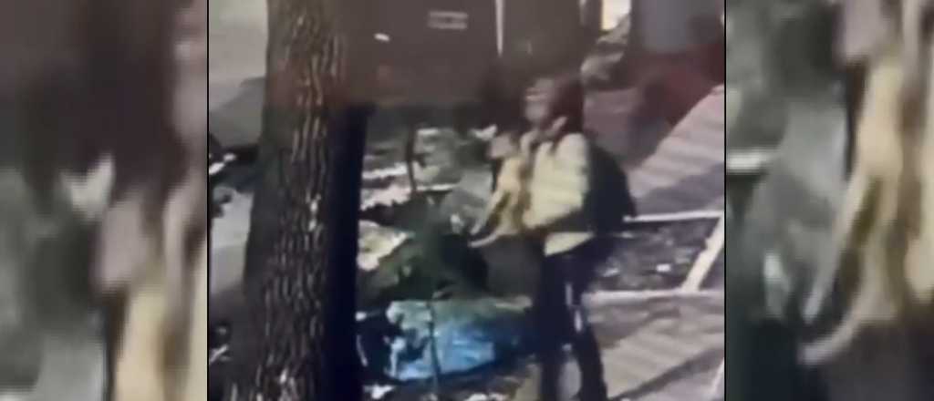 Video: tiró a un perro a la basura y quedó filmado