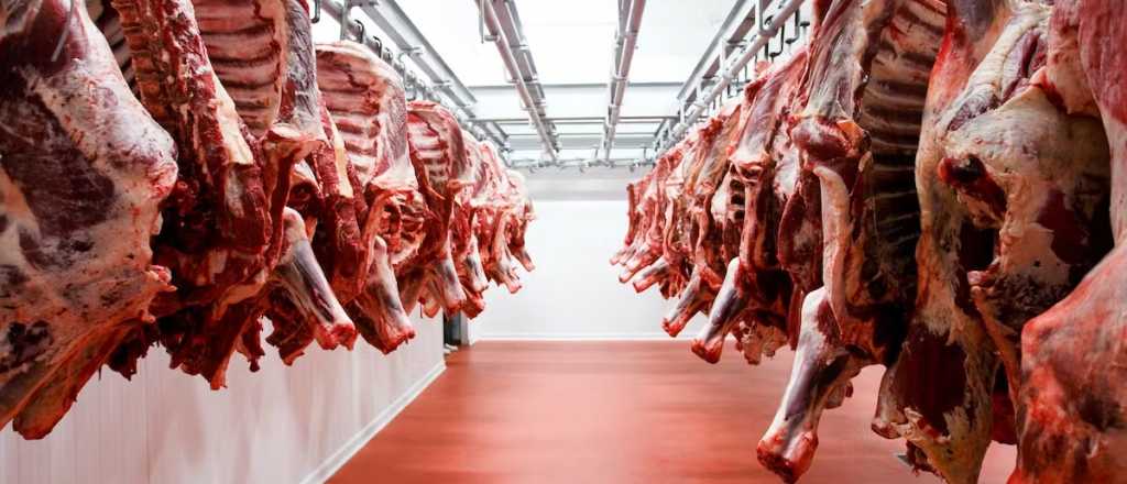 Autorizan la exportación de cortes populares: ¿suben los precios?