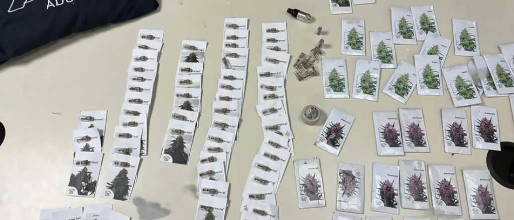 Intent&oacute; ingresar semillas de marihuana en un tour de compras chileno 