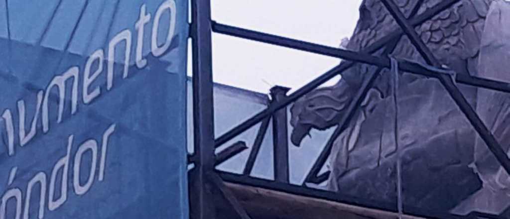 La f&aacute;bula del c&oacute;ndor "reseteado", o para qu&eacute; votamos en Mendoza