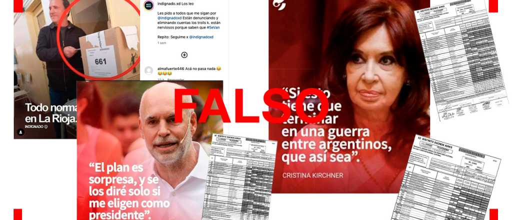 Elecciones 2023: cu&aacute;les son las desinformaciones de las que te ten&eacute;s que cuidar