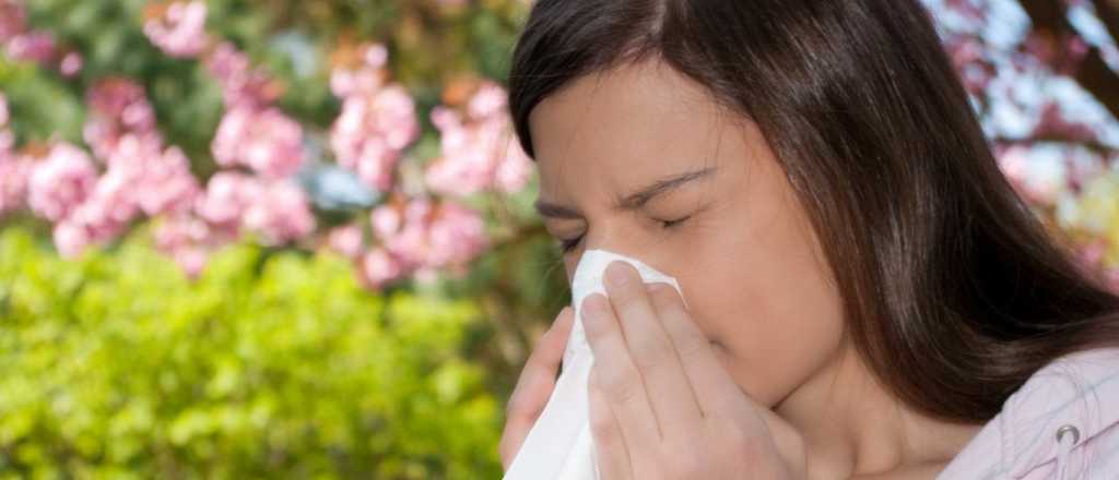Los enemigos en casa: el peligro de las alergias domésticas