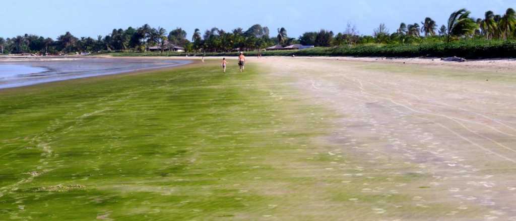 As&iacute; son las playas m&aacute;s raras y hermosas del mundo