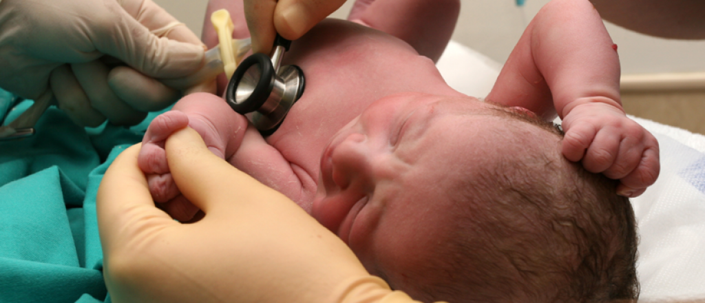 El Notti anuncia una nueva convocatoria para residencias en Neonatolog&iacute;a