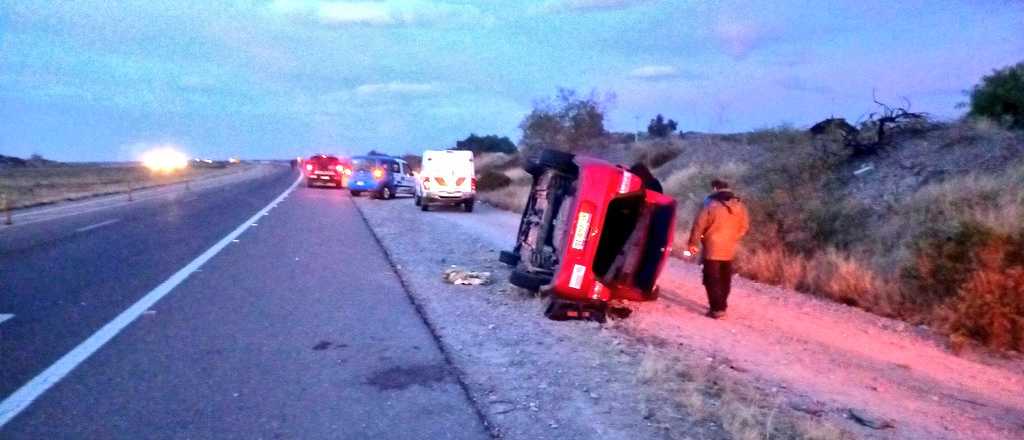 Dos autos atropellaron a un caballo en la Ruta 40, en Luj&aacute;n