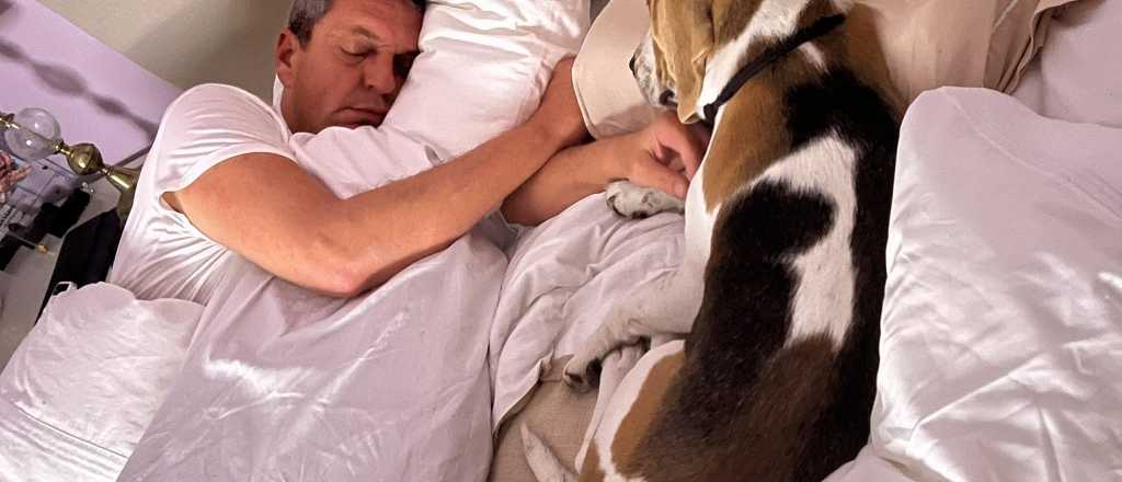 La foto de Massa en la cama: "El reposo del guerrero"