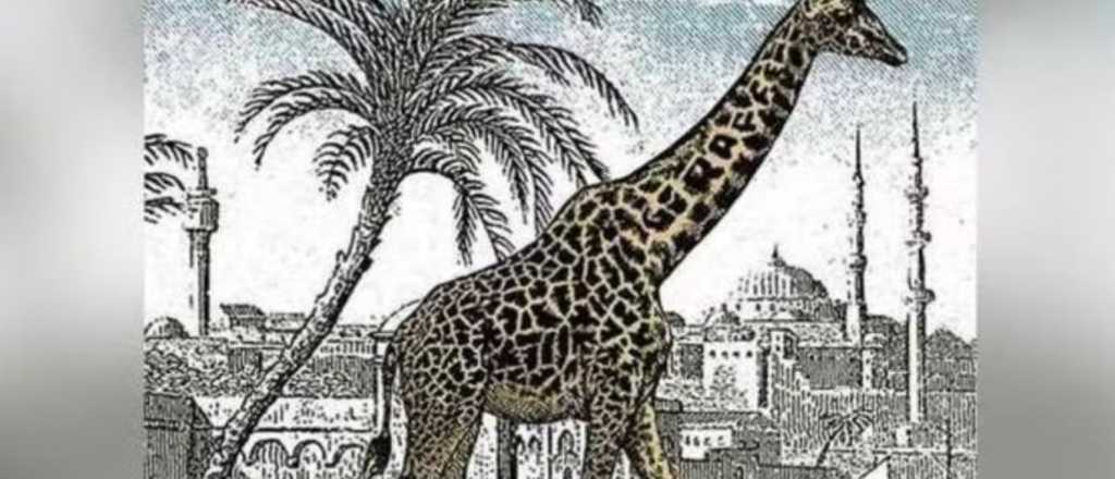 Test visual: tenes 10 segundos para encontrar algo oculto en la jirafa