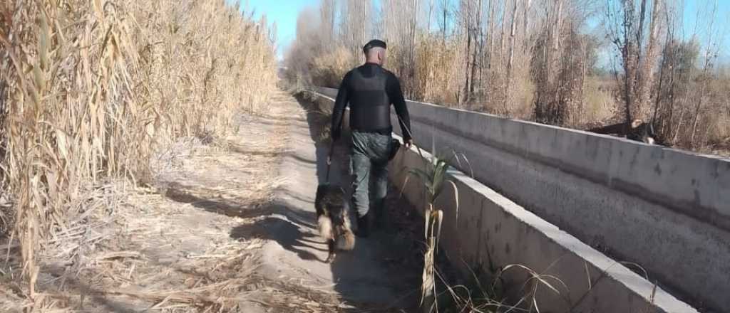 Perros de la Policía del Este mendocino recuperaron elementos robados