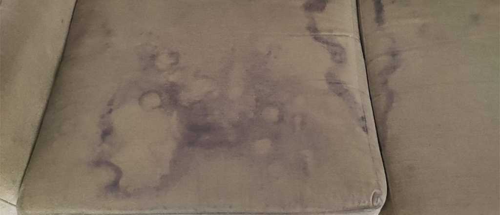 As&iacute; pod&eacute;s dejar tu sof&aacute; de tela como nuevo 