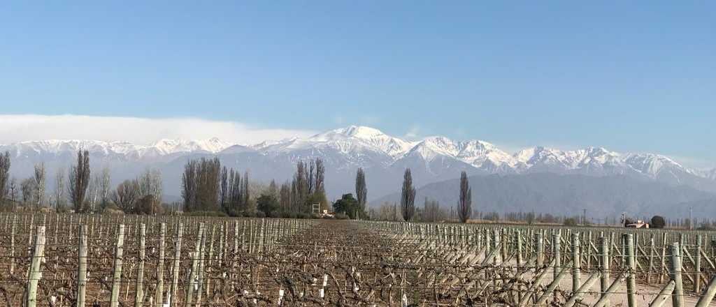 &iquest;Nevar&aacute; en Mendoza?: esto dice el pron&oacute;stico