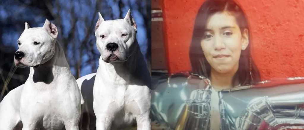 El dueño de los perros dogo que mataron a la chica fue acusado por homicidio