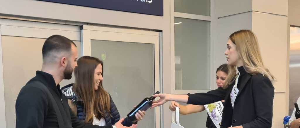 El Plumerillo es el cuarto aeropuerto m&aacute;s usado del pa&iacute;s