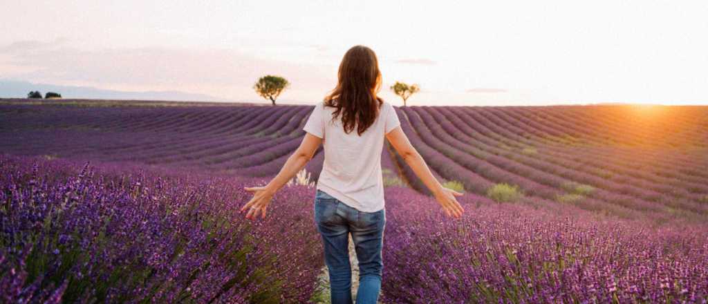 Planetario semanal del 6 al 12 de agosto: activando nuevos caminos