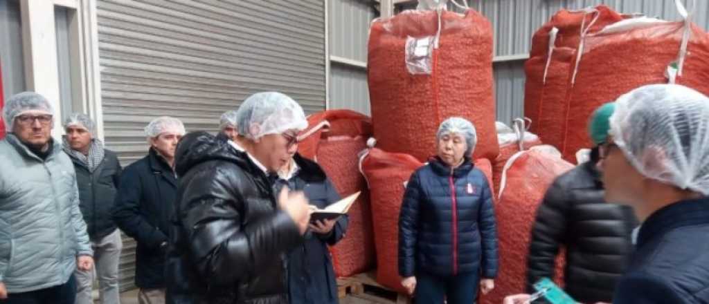 Representantes de China buscan exportar frutos secos de Mendoza